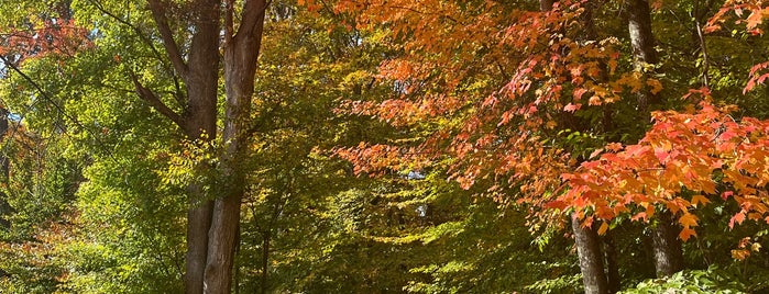 Hemlock Overlook Regional Park is one of Great Places To Go.