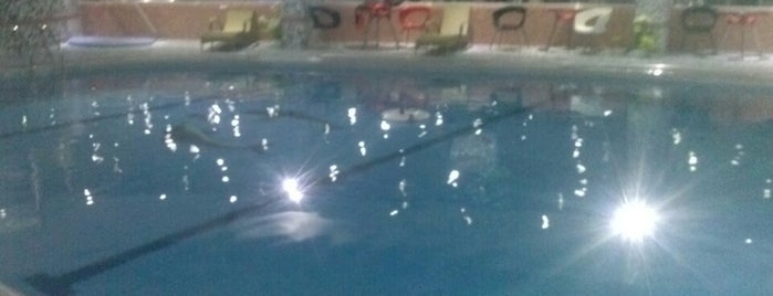 OSCAR h.Swimming pool is one of Erbil.