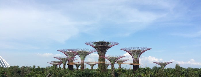 Garden By The Bay, Staging Office is one of I've been here.