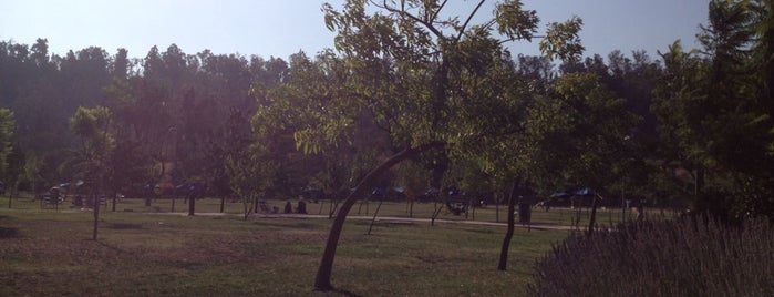 Parque Centenario is one of Canchas Futbolito.