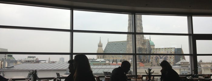 SKY is one of Some of my favorite restaurants in Vienna.
