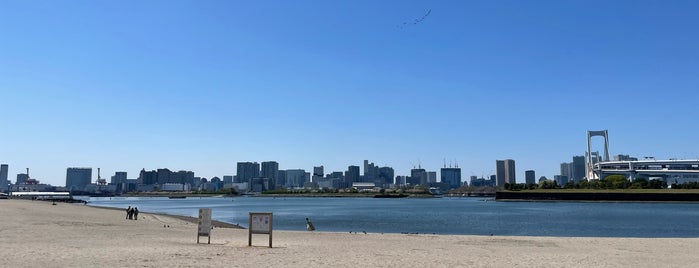Odaiba Beach is one of swimmers.