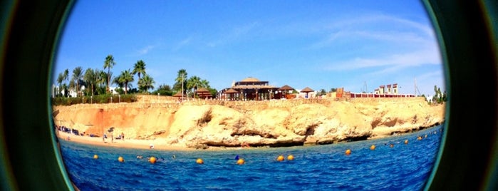 Domina Coral Bay Aquamarine is one of Be Charmed @ Sharm El Sheikh.