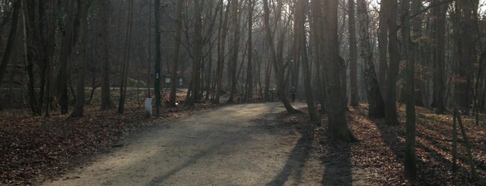 Track & field Foret de soignes is one of Posti che sono piaciuti a Mario.