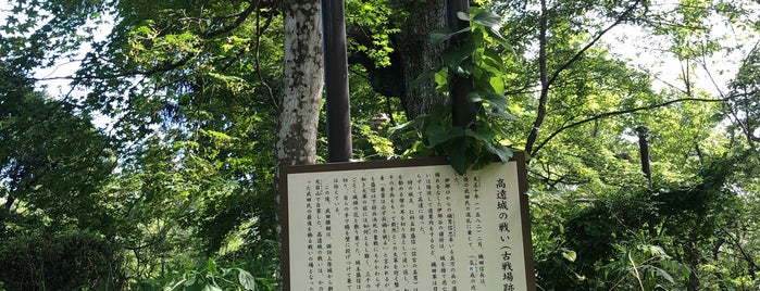 高遠城の戦い（古戦場跡） is one of 高遠城址公園.