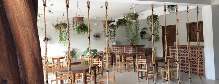 tierra mia is one of 10 Great Places to Visit in Holbox.