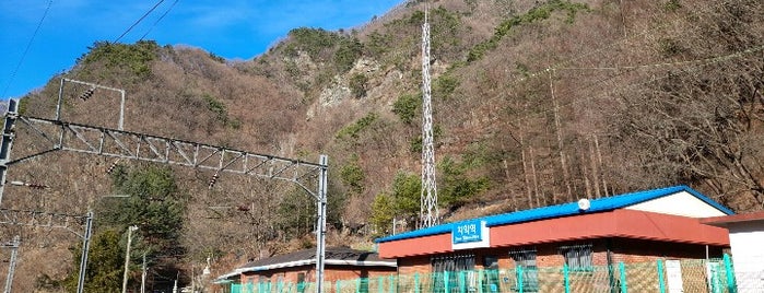 치악역(폐역) is one of 중앙선 폐지된 역.