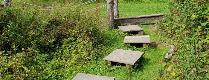 Castle Espie Wetlands Centre is one of Walks.