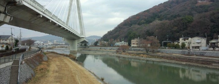 新猪名川大橋 (ビッグハープ) is one of 阪神高速11号池田線.