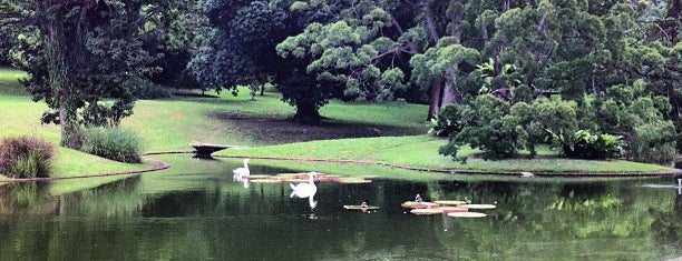 Istana Park is one of Lugares favoritos de Ian.