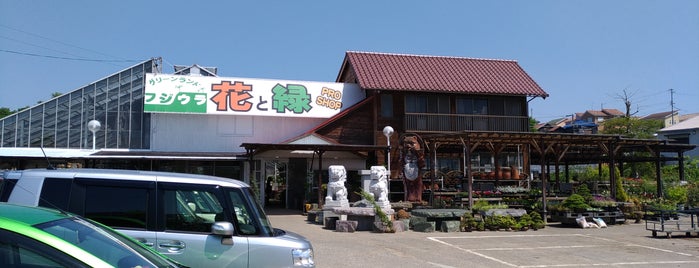 グリーンランド フジウラ is one of 東海地方の園芸店.