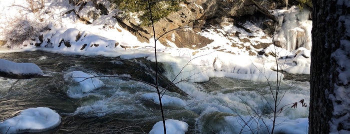 Presumpscot River Preserve is one of Locais curtidos por Dana.