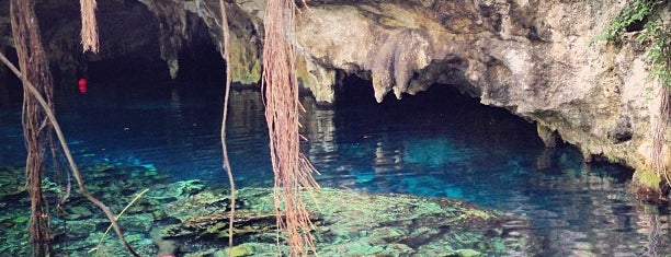 Gran Cenote is one of สถานที่ที่ Nikki ถูกใจ.