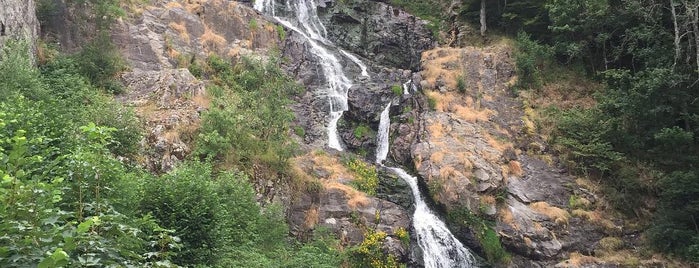 Todtnauer Wasserfall is one of Ferienheim Tannenhof in Rothaus.