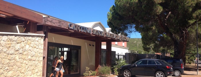 Cantina Santa Maria La Palma is one of @WineAlchemy1 : понравившиеся места.