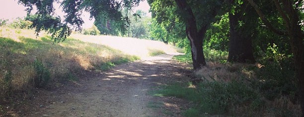 American River Bike Trail - Estates Drive Access is one of สถานที่ที่ Jason ถูกใจ.