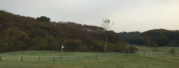 Negishi Shinrin Park is one of 神奈川県の公園.