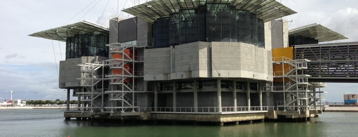 Oceanário de Lisboa is one of Sito’s Liked Places.