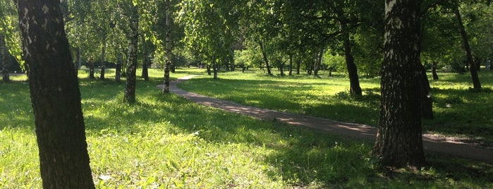 Парк «Северные дубки» is one of Парки и достопримечательности.