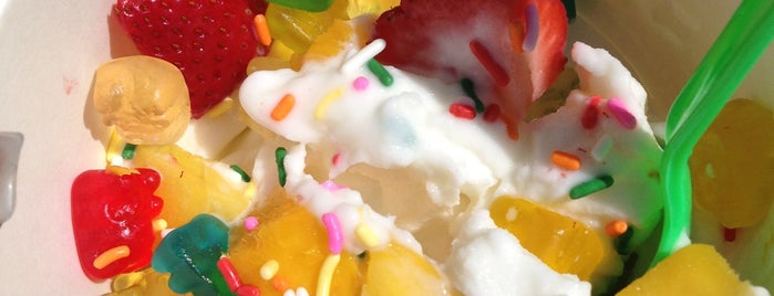 YOBE Frozen Yogurt is one of Golden Isles' To-Do List.