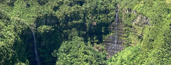 Black River Gorges National Park is one of Posti che sono piaciuti a David.