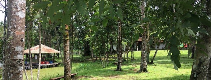 Camp ground is one of เมืองสวย.