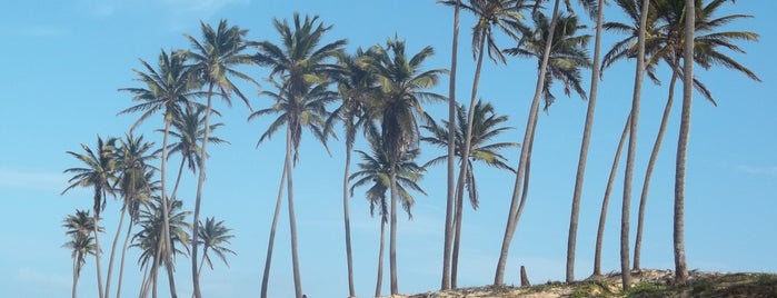 Praia de Lagoinha is one of favoritos.