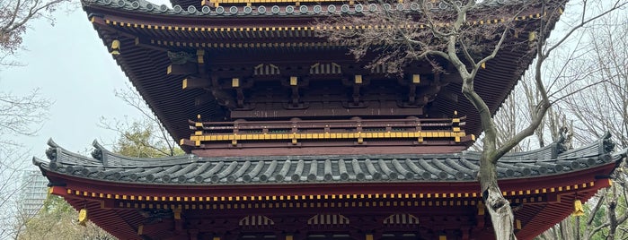 The Five-storied Pagoda of the Former Kan'ei-ji Temple is one of Eduardo's Saved Places.