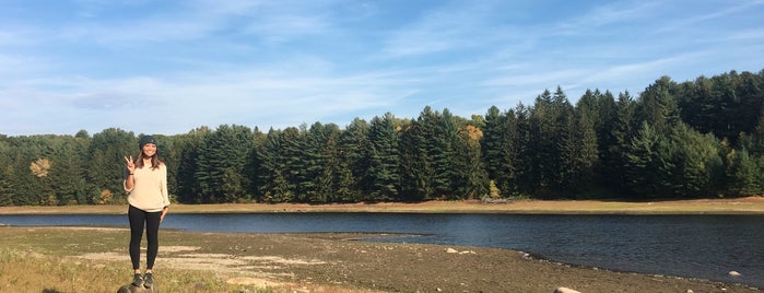 Glastonbury Reservoir is one of Connecticut.