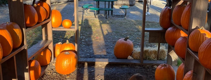 Abma's Farm Market & Nursery is one of Bergen County.