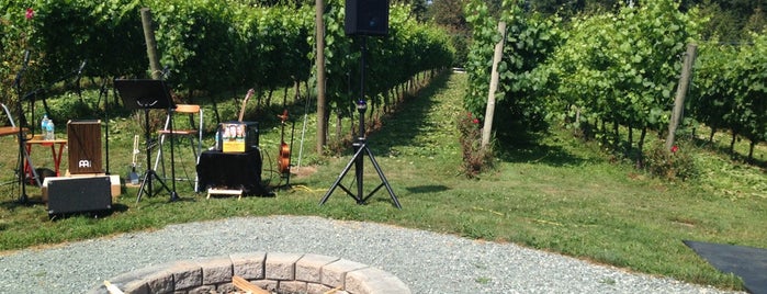 Backyard Vineyards is one of Langley Circle Farm Tour.