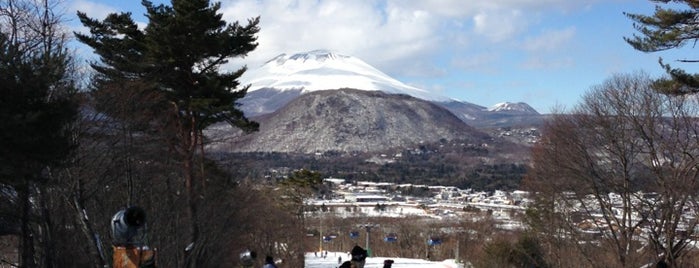 Karuizawa Prince Hotel ski field is one of Japan Trip!.