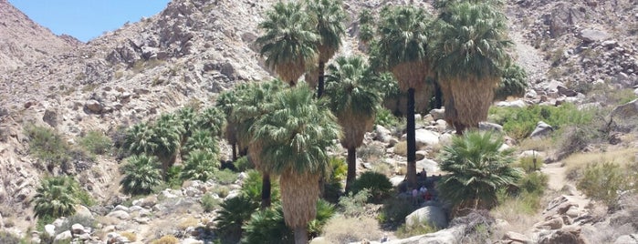 Fortynine Palms Oasis Trail is one of Tempat yang Disukai Paul.