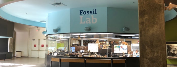 Fossil Lab is one of Lieux sauvegardés par Kimmie.