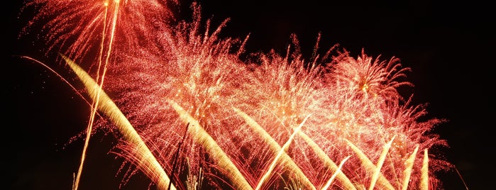 Adachi Fireworks is one of ぎゅ↪︎ん 🐾🦁 : понравившиеся места.