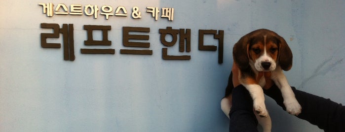 레프트핸더 is one of 제주 Jeju.