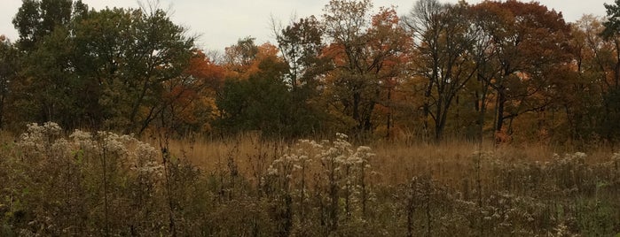 Thaddeus S. "Ted" Lechowitz Woods is one of Andrea's Saved Places.