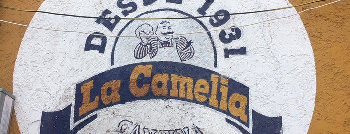 Cantina La Camelia is one of Frutos do mar Mexico City.