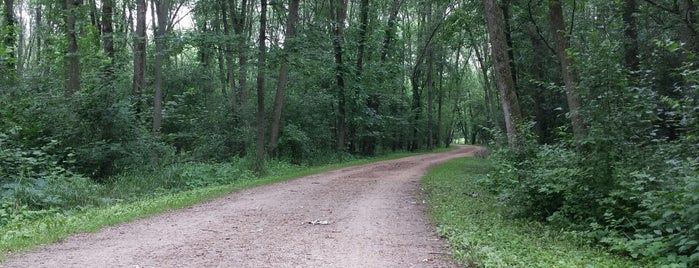 Des Plaines River Trail is one of Hiking in Northeast Illinois.