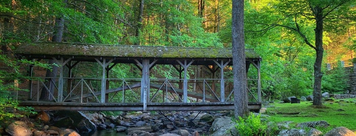 Willard Brook State Forest is one of Reminders.