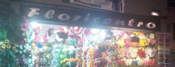 Floricentro is one of Centro.