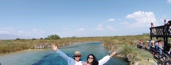 Poza Azul, Cuatro Cienegas is one of Lugares norteños.