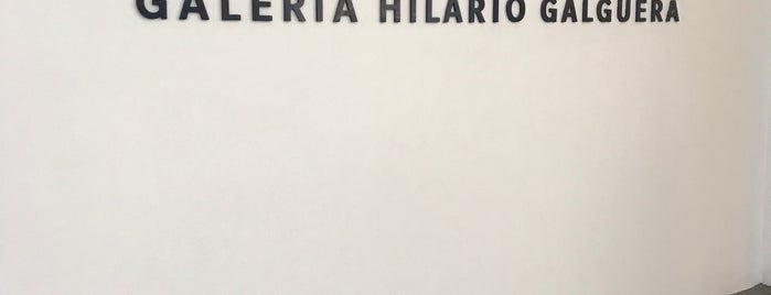 Galeria Hilario Galguera is one of Mexico City.