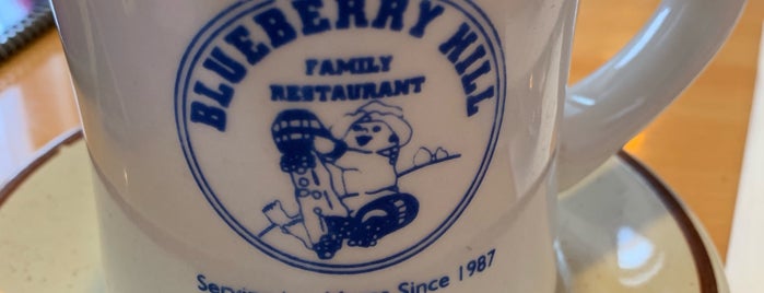 Blueberry Hill Family Restaurant is one of Breakfast of Ham With the 💏Fam👨‍👩‍👦‍👦.