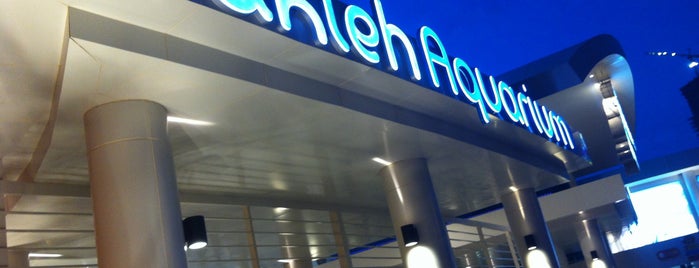 Fakieh Aquarium is one of Where to go in jeddah city <3.