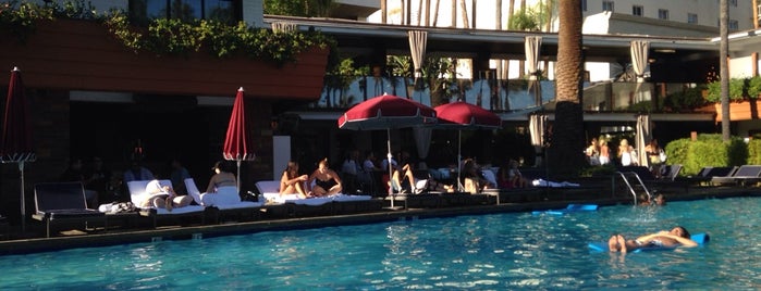 Roosevelt Hotel Pool is one of Best Thing to Do in Los Angeles on a Sunny Day.