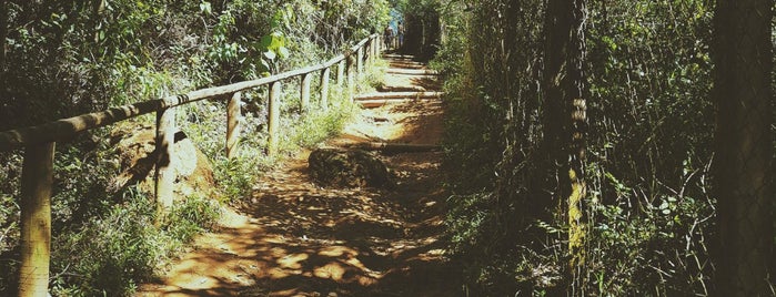 Trilha do Pai Zé is one of 🌆 SP - lugares (outros).