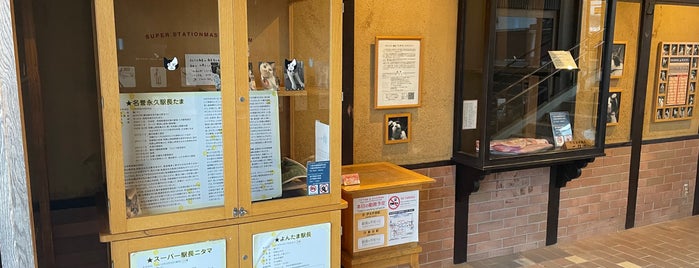 Kishi Station stationmaster's office is one of cat.