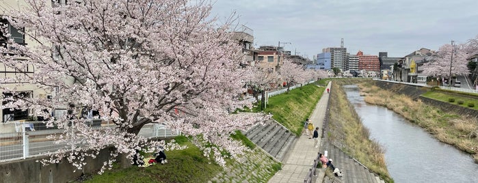 聖蹟桜ヶ丘 いろは坂通り is one of ジョギングコース.