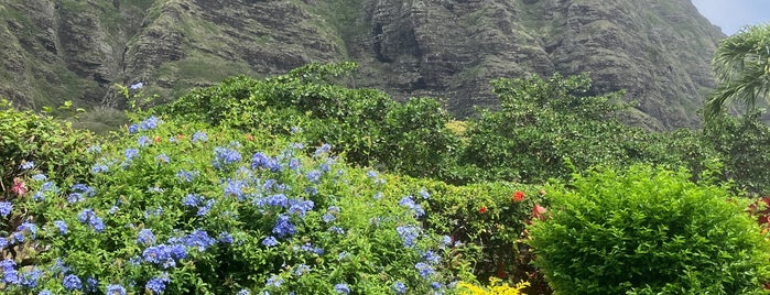 Kualoa Ranch is one of Hawaii 2019.
